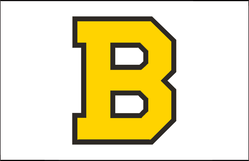 Boston Bruins 1940-1948 Jersey Logo iron on transfers for fabric